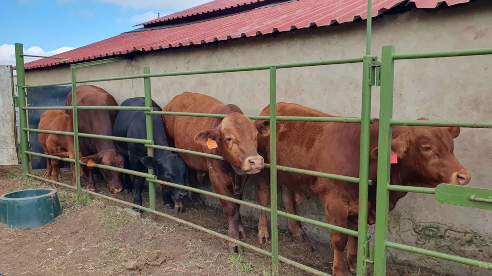 Smallholding for sale in Riversdale, Meyerton - 1VT1730409 Smallholding for sale in Riversdale, Meyerton - 1VT1730409