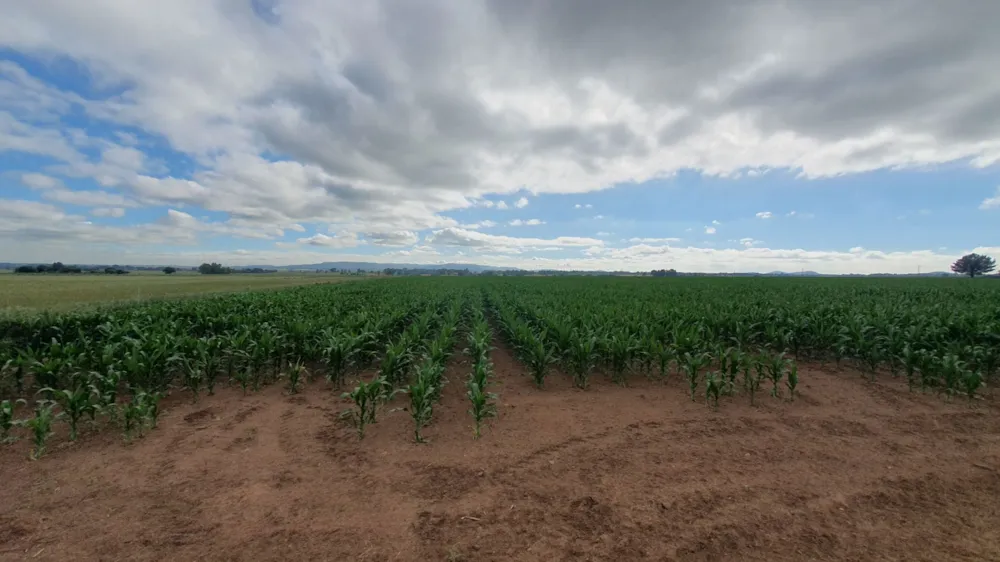 Smallholding for sale in Riversdale, Meyerton - 1VT1730409 Smallholding for sale in Riversdale, Meyerton - 1VT1730409
