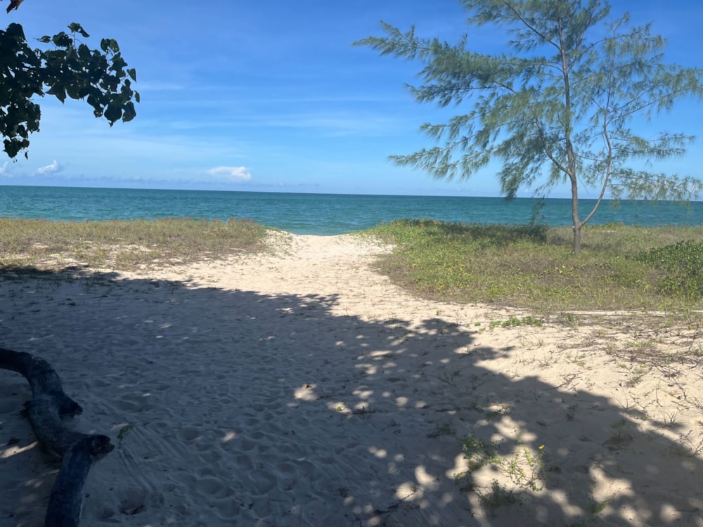 Beachfront villa to rent in Pemba, Cabo Delgado, Mozambique - 3MQ1730461 Beachfront villa to rent in Pemba, Cabo Delgado, Mozambique - 3MQ1730461