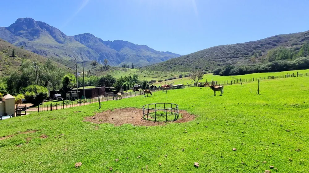 Dairy farm for sale in Robertson - ROB1730707