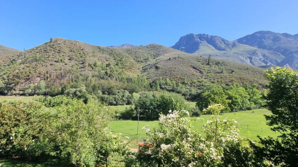 Dairy farm for sale in Robertson - ROB1730707