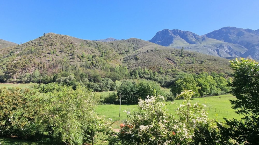 Dairy farm for sale in Robertson - ROB1730707 Dairy farm for sale in Robertson - ROB1730707