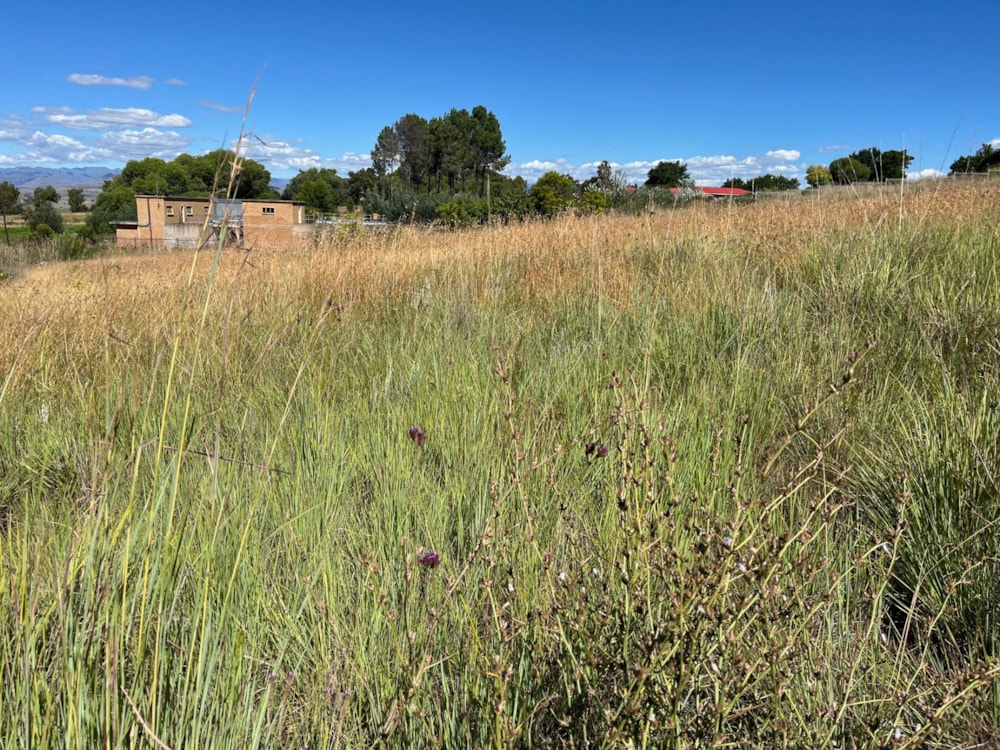 Vacant land for sale in Fouriesburg - 1CS1730599