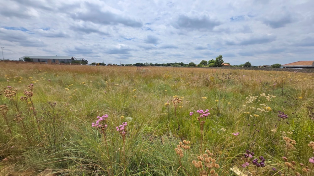 Residential vacant land for sale in Grootfontein - PT1730703 Residential vacant land for sale in Grootfontein - PT1730703