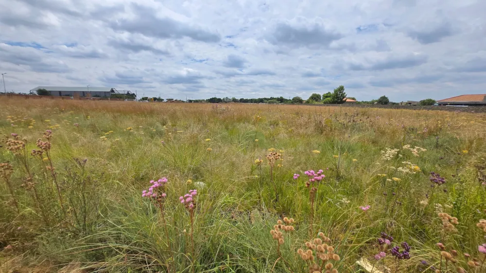 Residential vacant land sold in Grootfontein - PT1730703 Residential vacant land sold in Grootfontein - PT1730703