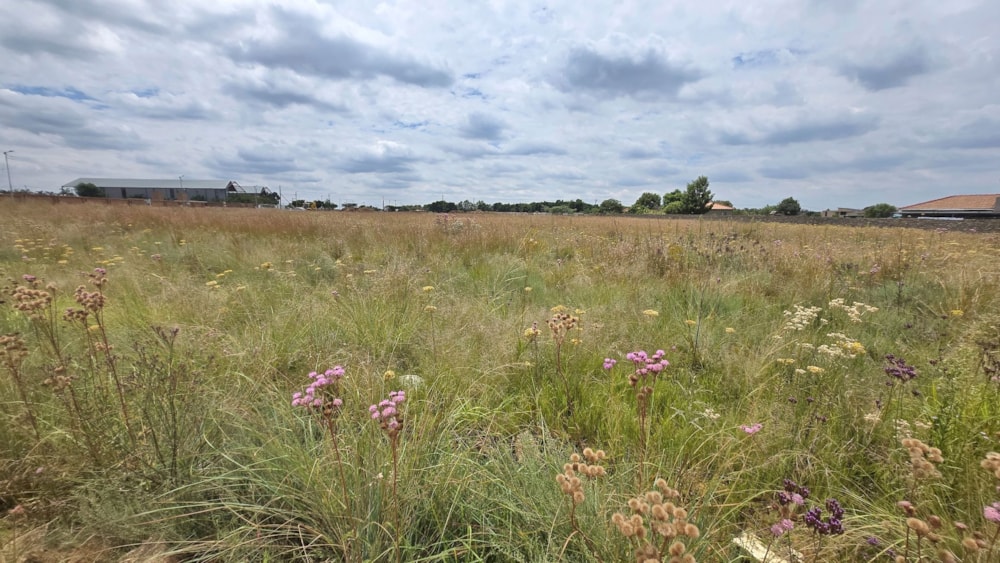 Residential vacant land for sale in Grootfontein - PT1730703 Residential vacant land for sale in Grootfontein - PT1730703