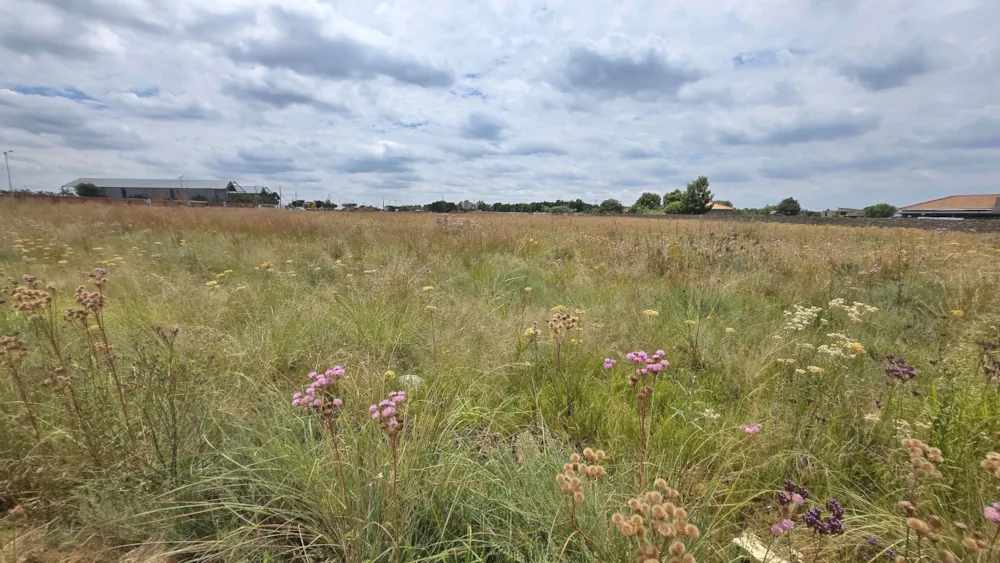 Residential vacant land sold in Grootfontein - PT1730703 Residential vacant land sold in Grootfontein - PT1730703