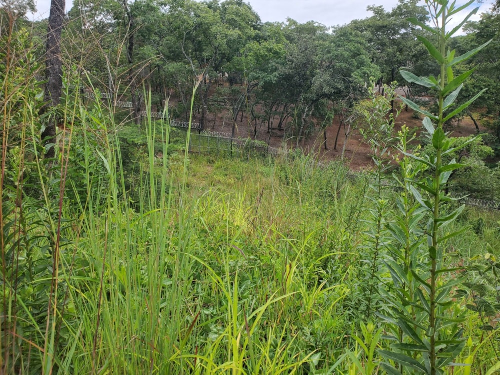 Vacant land for sale in Shawasha Hills, Zimbabwe - 3ZB1734970