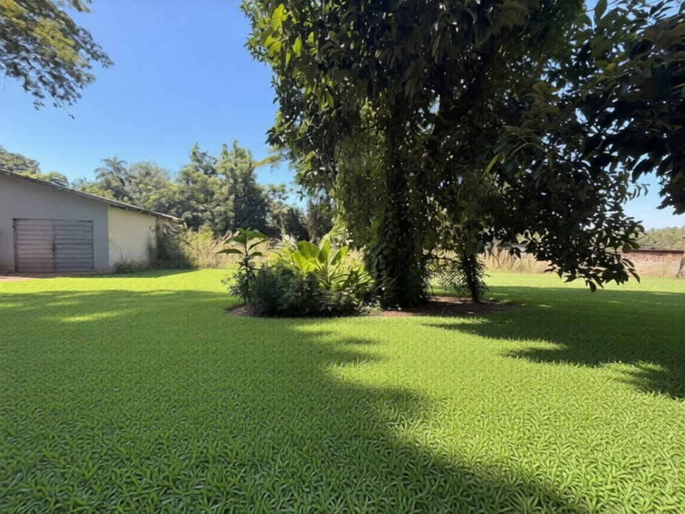 Vacant land for sale in Tzaneen, Limpopo Province - 1TA1730812 Vacant land for sale in Tzaneen, Limpopo Province - 1TA1730812
