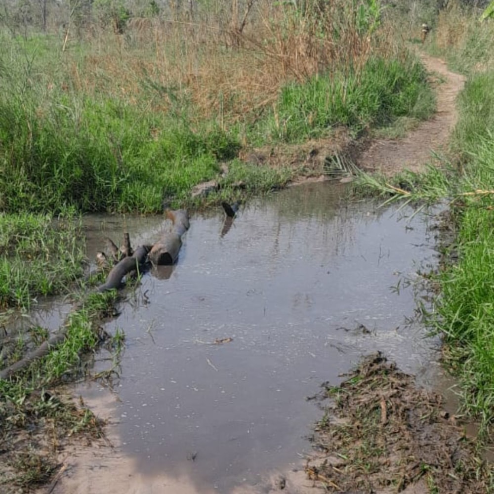 Farm vacant land for investment in Zambézia, Zambézia, Mozambique - 3MQ1730829 Farm vacant land for investment in Zambézia, Zambézia, Mozambique - 3MQ1730829