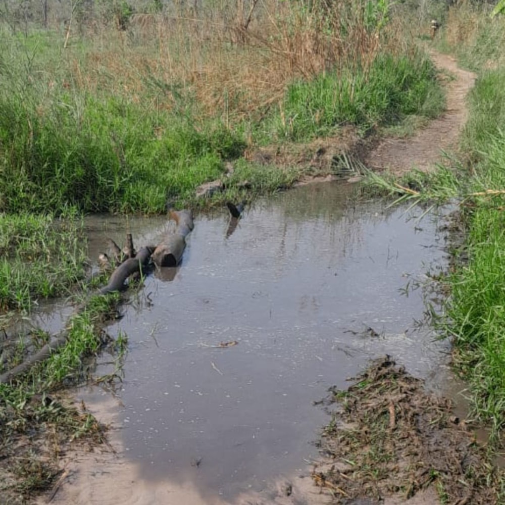 Farm vacant land for investment in Zambézia, Zambézia, Mozambique - 3MQ1730829 Farm vacant land for investment in Zambézia, Zambézia, Mozambique - 3MQ1730829