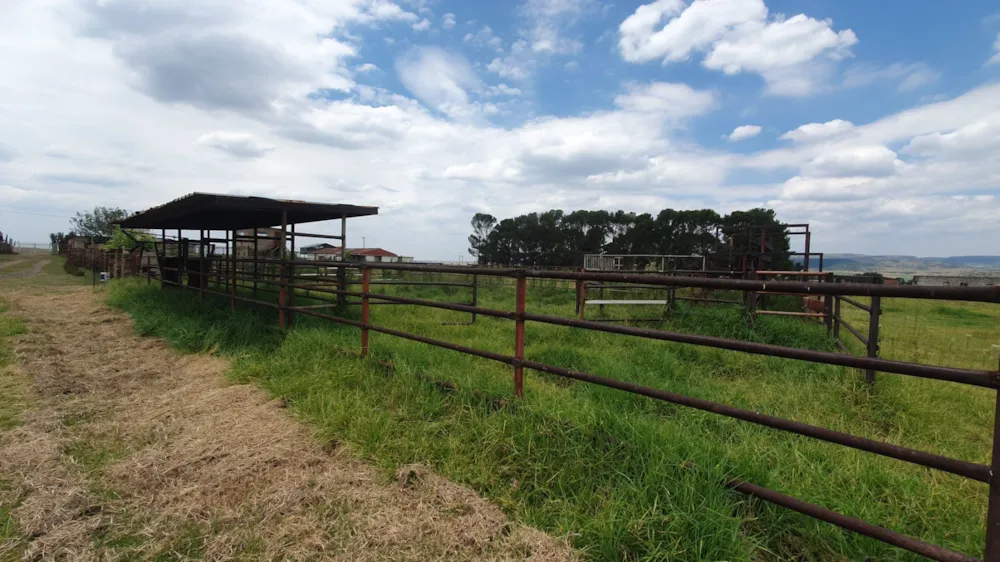 Smallholding for sale in Kliprivier - 1VT1730849 Smallholding for sale in Kliprivier - 1VT1730849