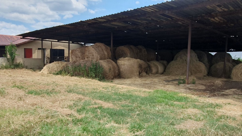 Smallholding for sale in Kliprivier - 1VT1730849