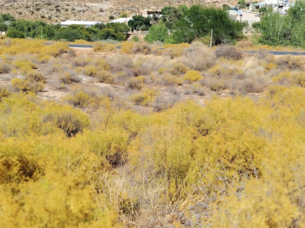 Vacant land for sale in Springbok - 1NA1731007