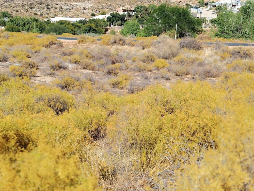 Vacant land for sale in Springbok - 1NA1731007 Vacant land for sale in Springbok - 1NA1731007