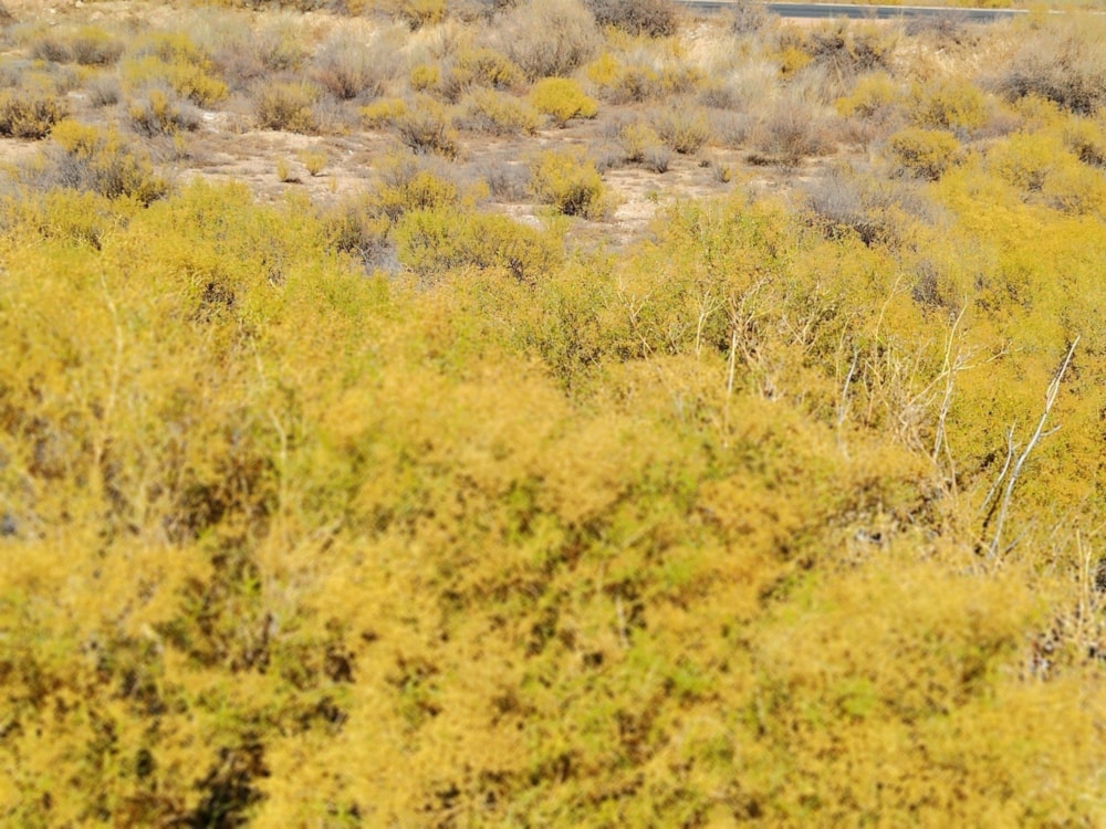 Vacant land for sale in Springbok - 1NA1731007 Vacant land for sale in Springbok - 1NA1731007