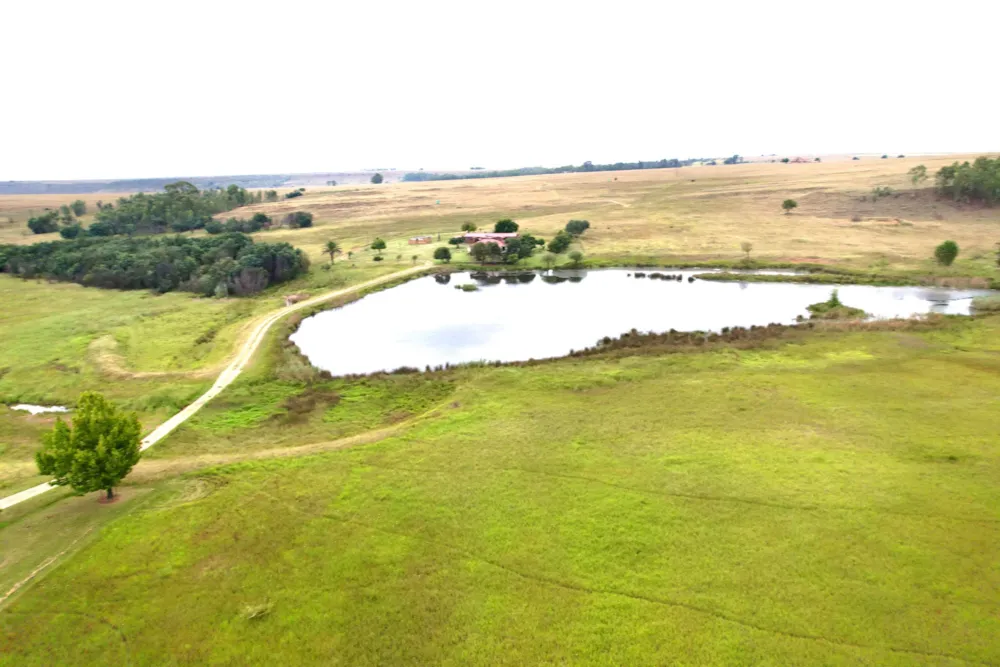 Game farm for sale in Bronkhorstspruit Rural - PRN1731393 Game farm for sale in Bronkhorstspruit Rural - PRN1731393