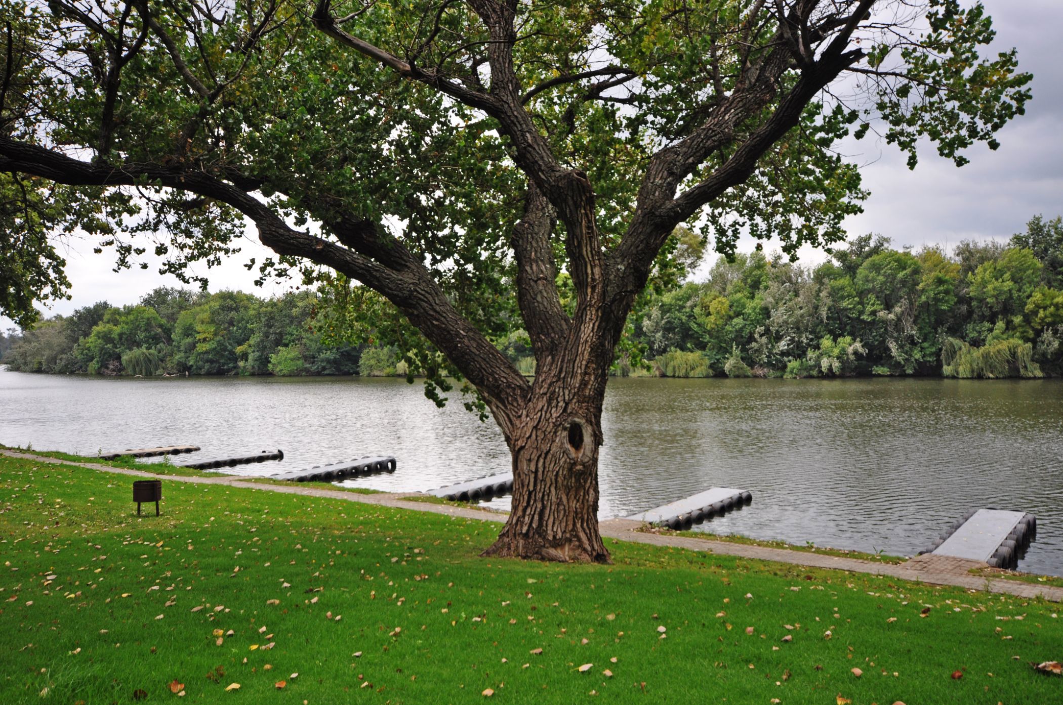 Townhouse for sale in Peacehaven - 1VT1731437