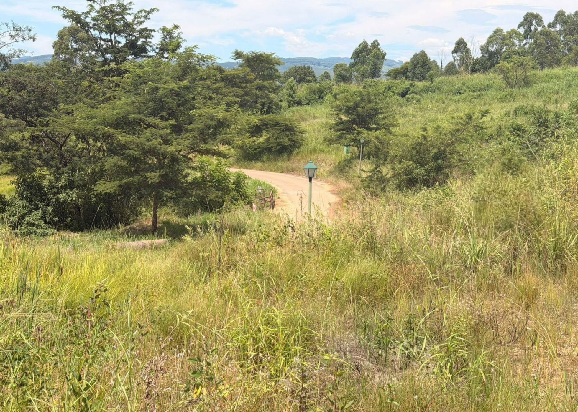 Vacant land for sale in Tzaneen, Limpopo Province - 1TA1731523