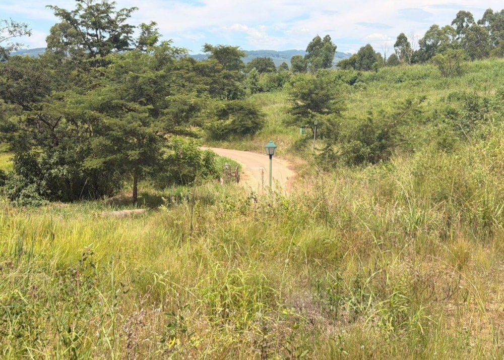 Vacant land for sale in Tzaneen, Limpopo Province - 1TA1731523
