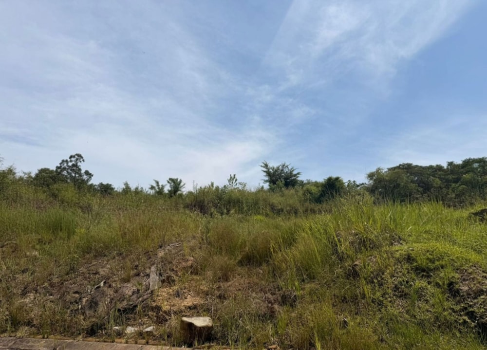 Vacant land for sale in Tzaneen, Limpopo Province - 1TA1731523 Vacant land for sale in Tzaneen, Limpopo Province - 1TA1731523