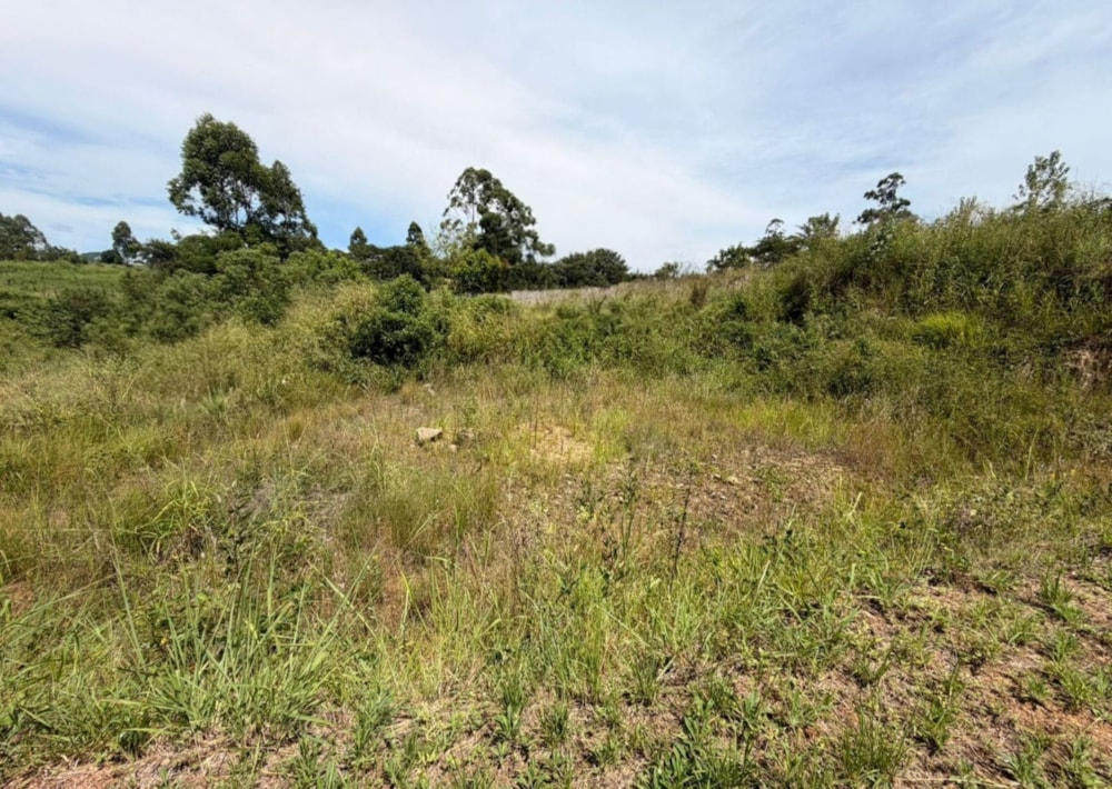 Vacant land for sale in Tzaneen, Limpopo Province - 1TA1731523 Vacant land for sale in Tzaneen, Limpopo Province - 1TA1731523