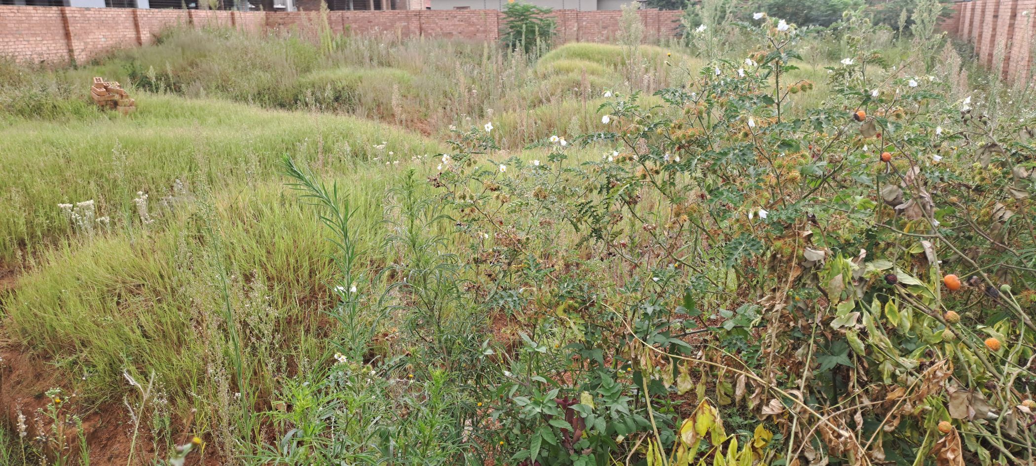 Residential vacant land for sale in Aerorand - 1MD1731526