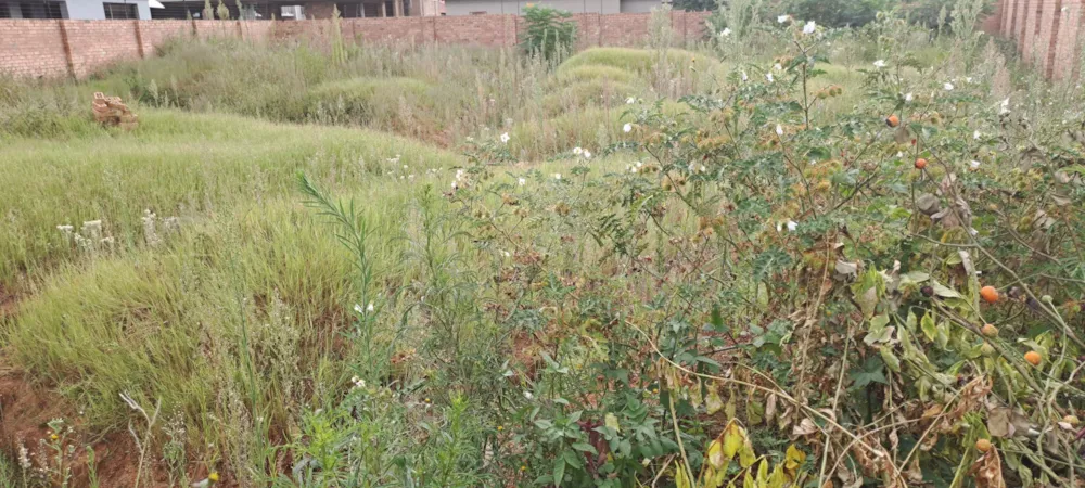 Residential vacant land for sale in Aerorand - 1MD1731526
