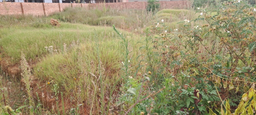 Residential vacant land for sale in Aerorand - 1MD1731526