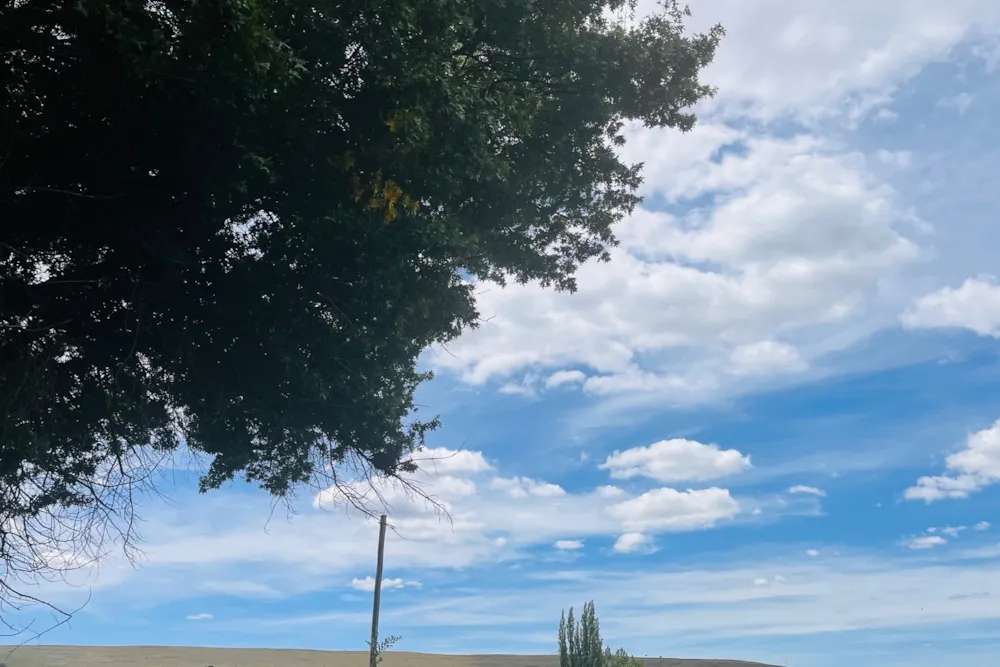 Vacant land for sale in Kromdraai, Witbank, eMalahleni - 1WD1731655 Vacant land for sale in Kromdraai, Witbank, eMalahleni - 1WD1731655