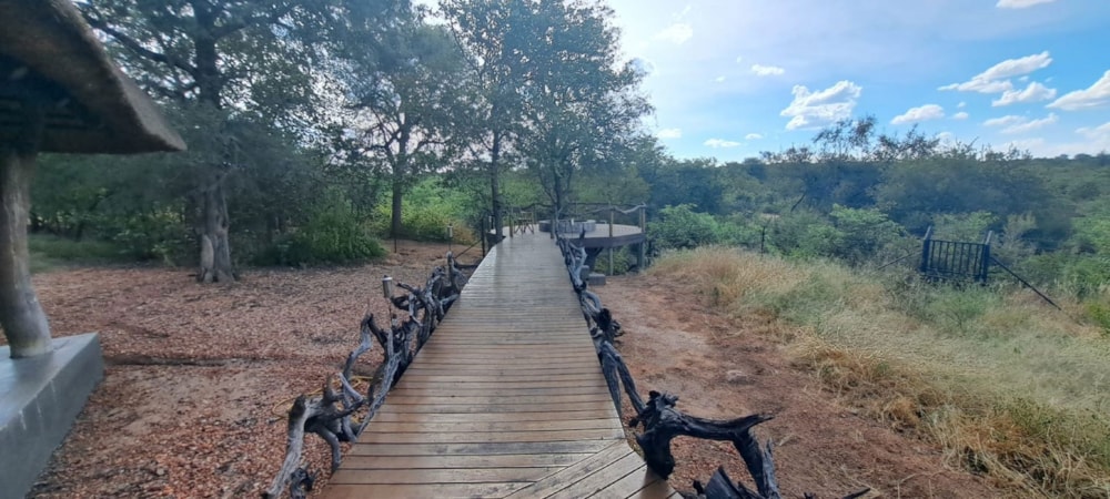 House for sale in Phalaborwa - 1PW1731715 House for sale in Phalaborwa - 1PW1731715