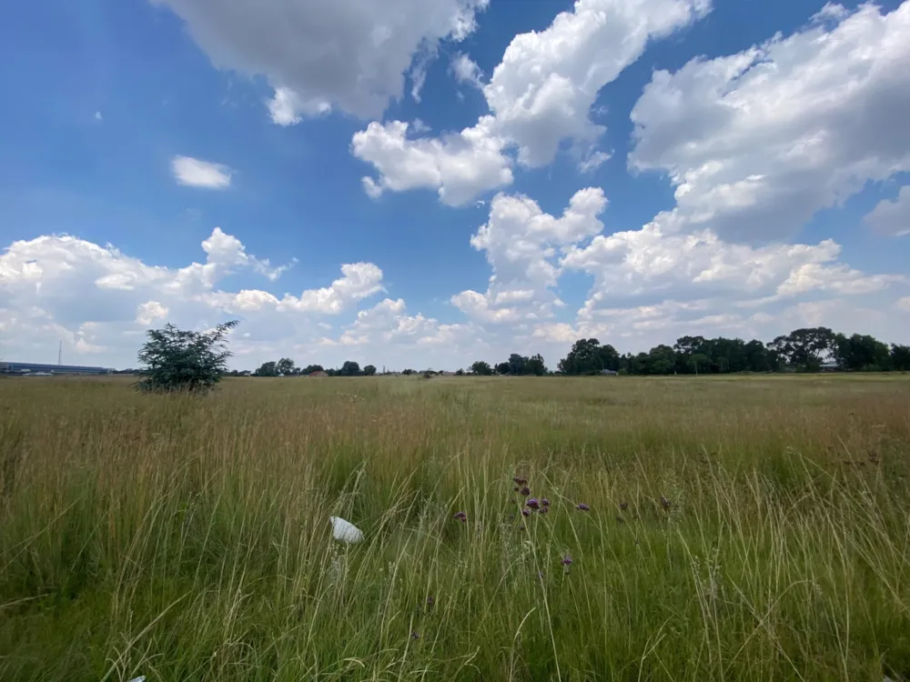 Vacant land for sale in Witpoort Estates - 1BJ1731771 Vacant land for sale in Witpoort Estates - 1BJ1731771