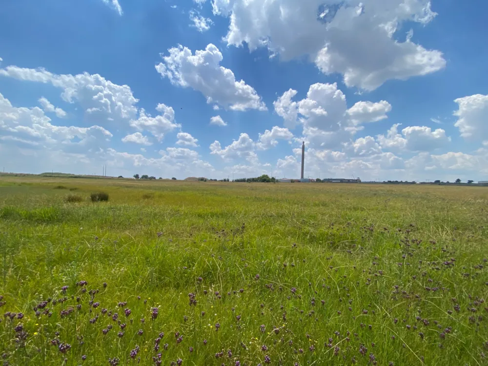 Vacant land for sale in Witpoort Estates - 1BJ1731771 Vacant land for sale in Witpoort Estates - 1BJ1731771