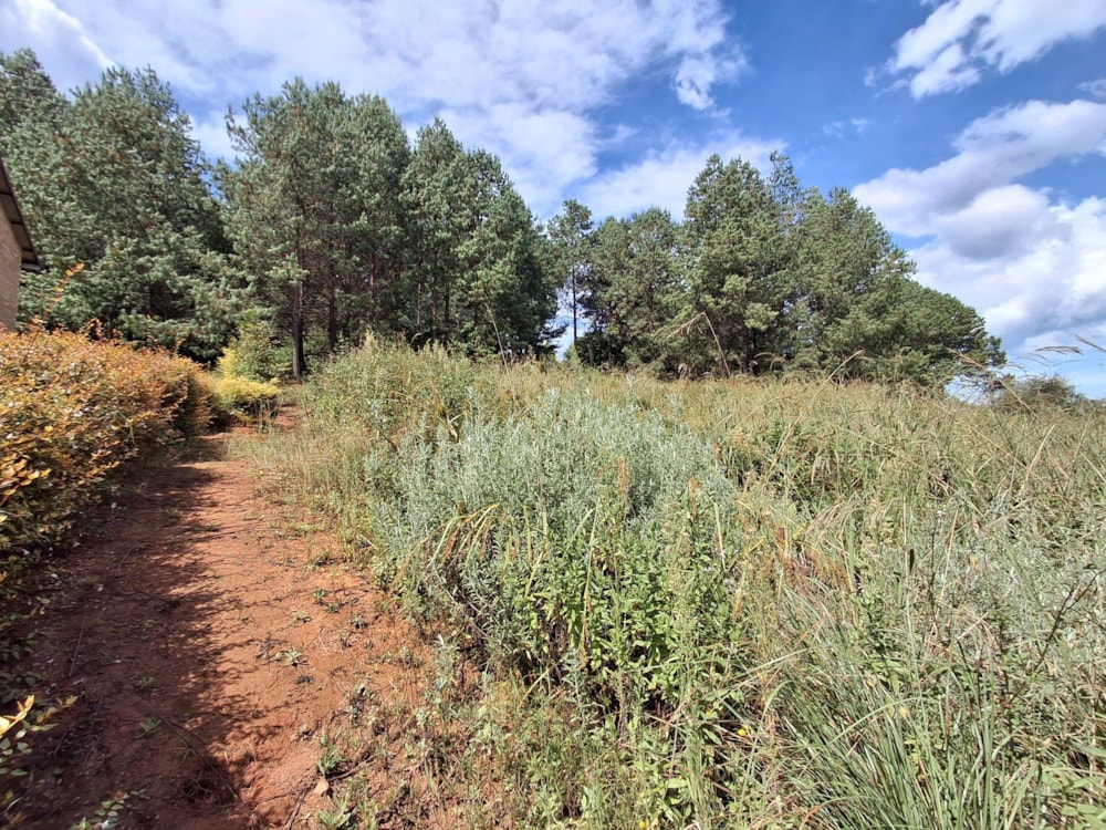 Vacant land for sale in Magoebaskloof - 1TA1731794