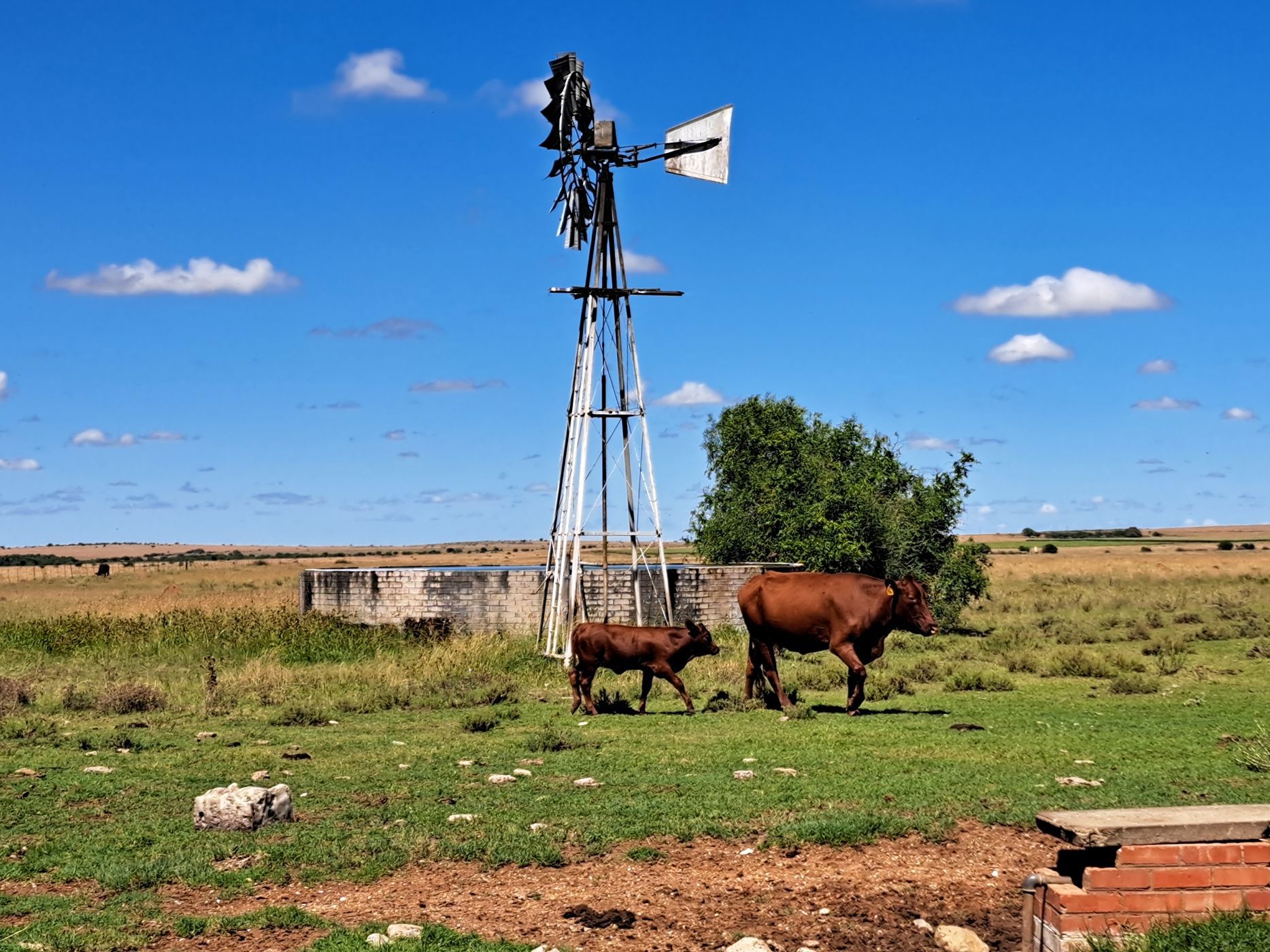 Farm vacant land for sale in Boshof - 1KJ1731775