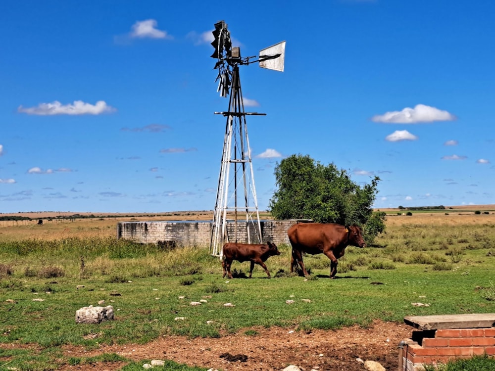 Farm vacant land for sale in Boshof - 1KJ1731775