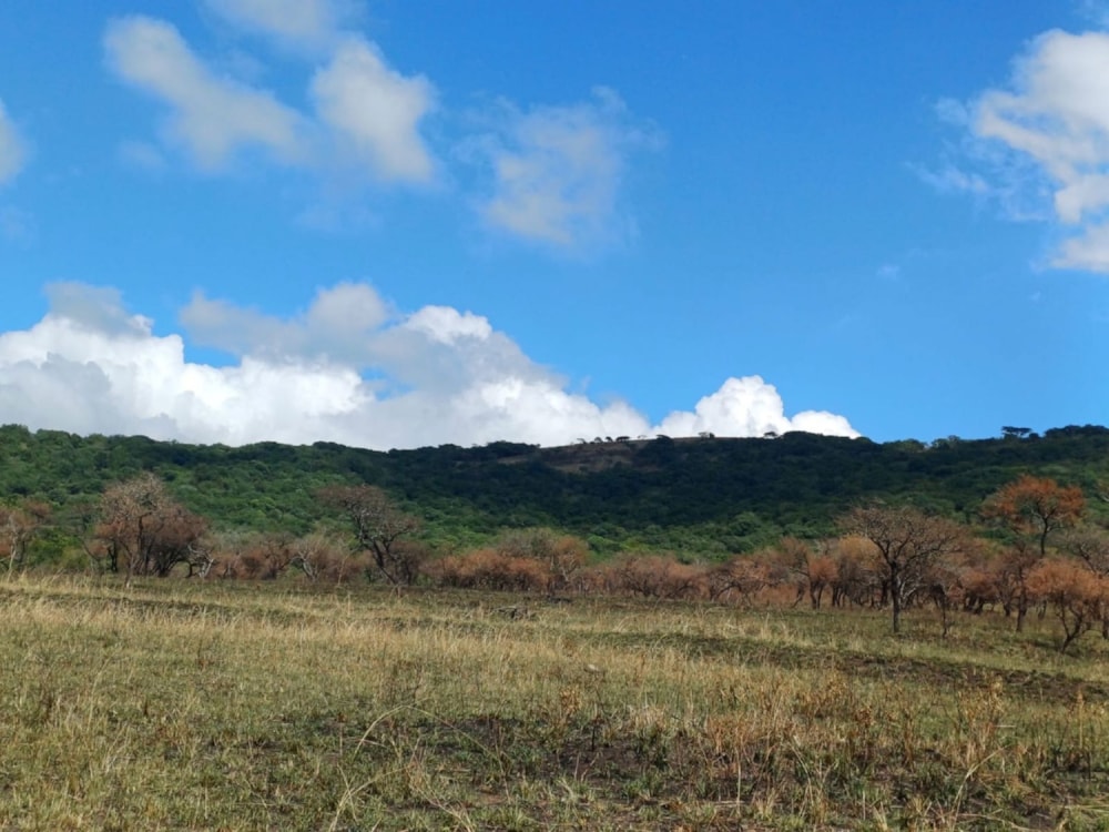 Game farm for sale in Pongola - 1RY1733589