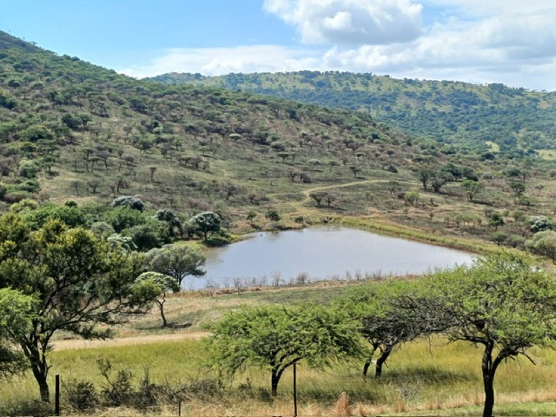 Game farm for sale in Pongola - 1RY1733589