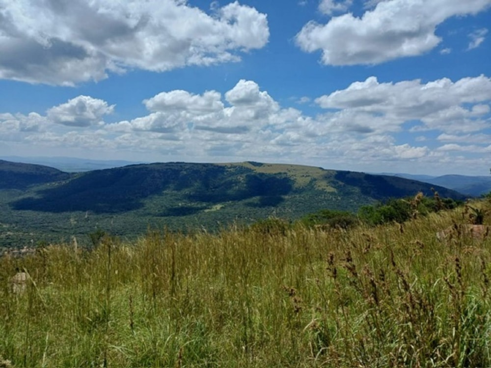 Game farm for sale in Pongola - 1RY1733589 Game farm for sale in Pongola - 1RY1733589