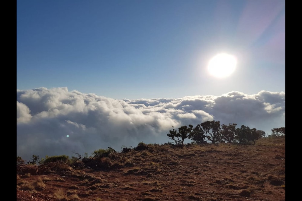 Plantation for sale in Haenertsburg - 1PS1731871