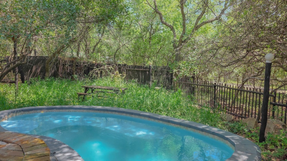 House to rent in Marloth Park - 1NK1744464 House to rent in Marloth Park - 1NK1744464