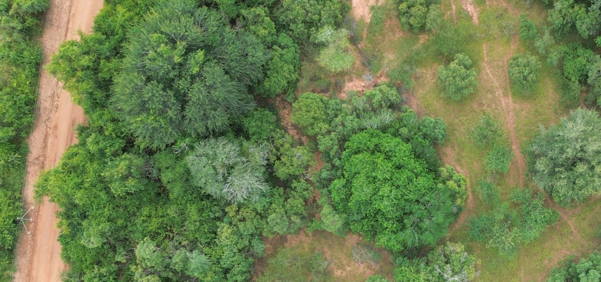 Vacant land for sale in Marloth Park - 1NK1728616