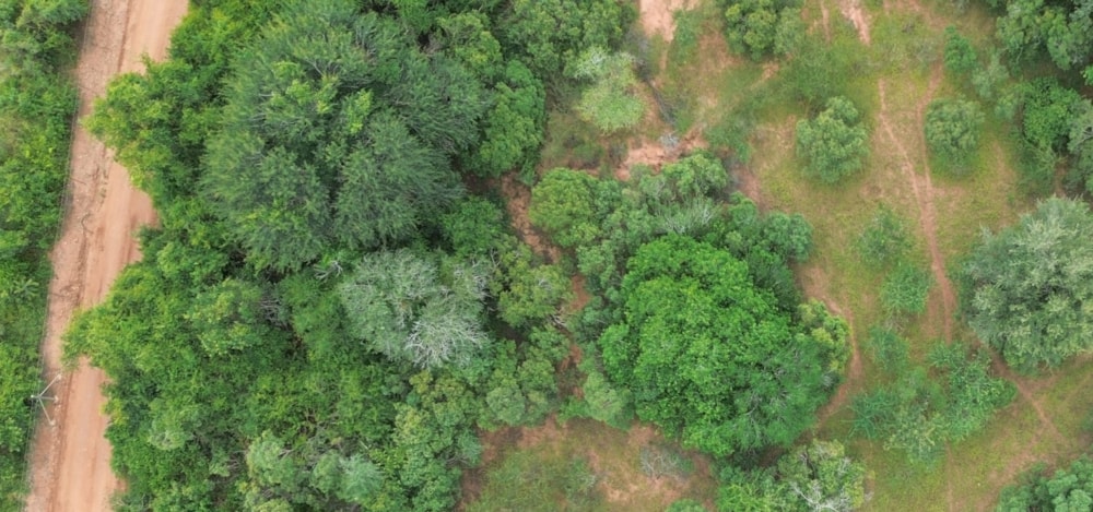 Vacant land for sale in Marloth Park - 1NK1728616 Vacant land for sale in Marloth Park - 1NK1728616