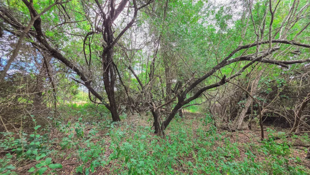 Vacant land sold in Marloth Park - 1NK1728616
