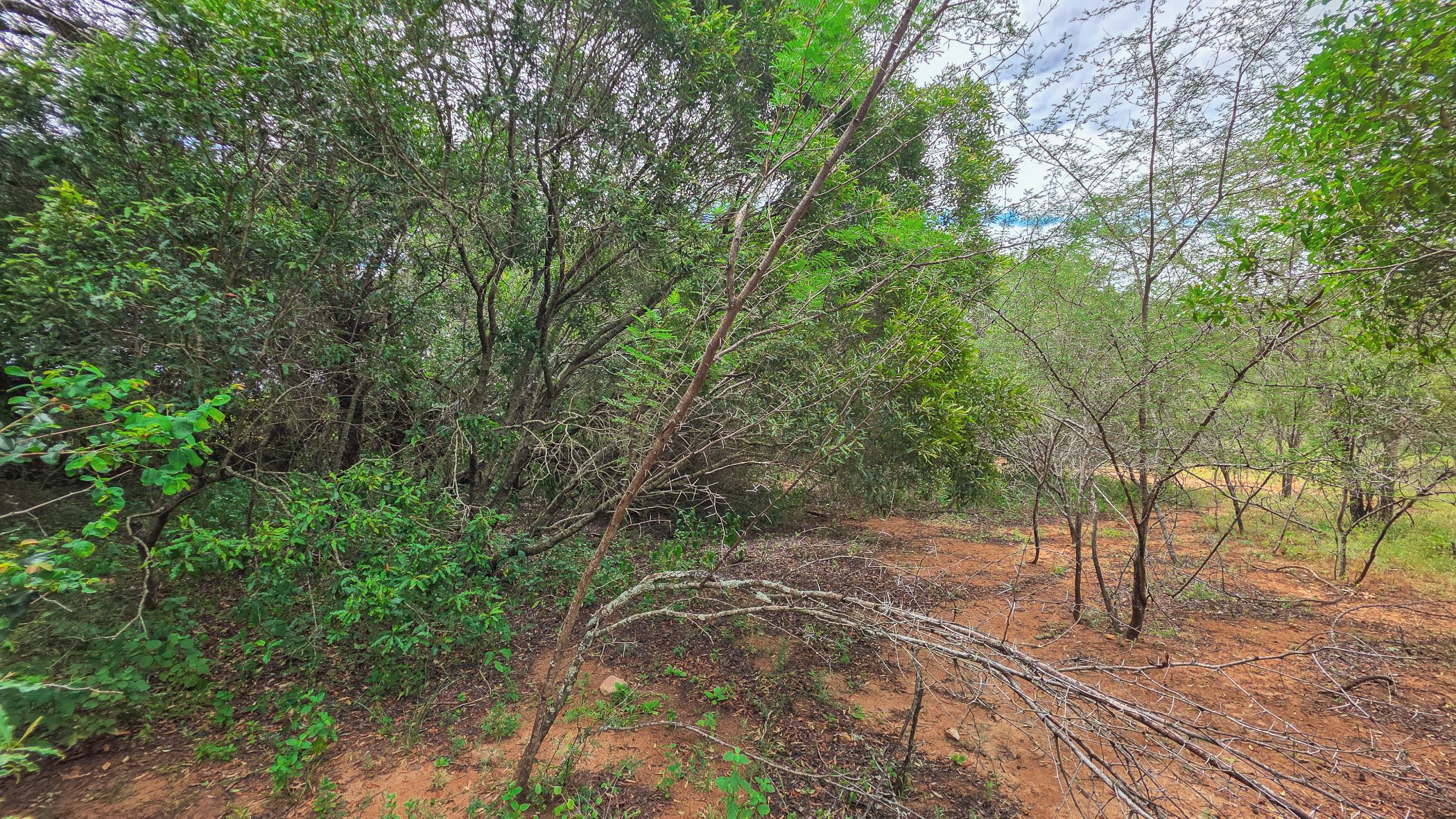 Vacant land for sale in Marloth Park - 1NK1744375