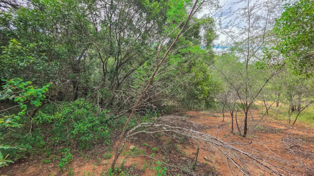 Vacant land sold in Marloth Park - 1NK1728616