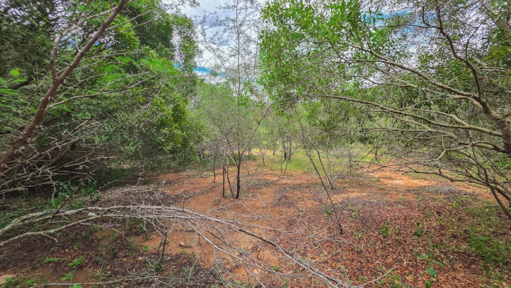 Vacant land for sale in Marloth Park - 1NK1744375