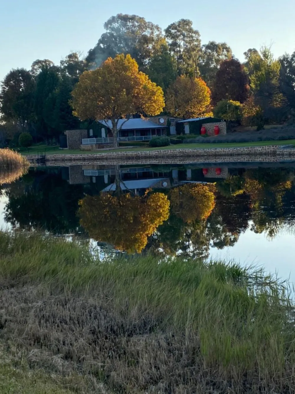 Mixed use farm for sale in Dullstroom - 1DS1731536 Mixed use farm for sale in Dullstroom - 1DS1731536