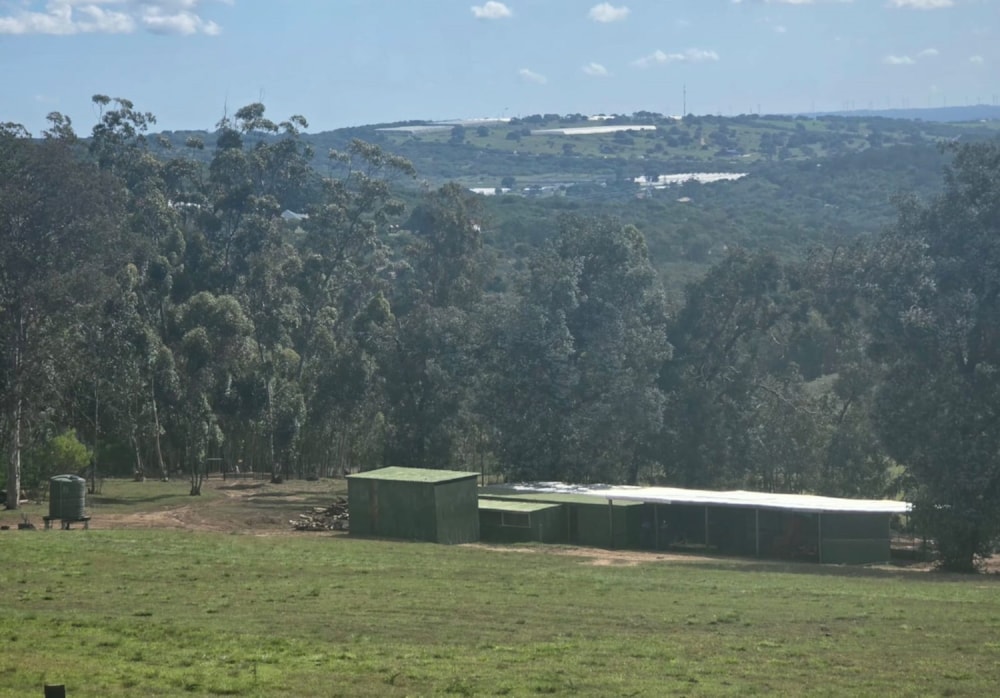 Livestock farm for sale in Thornhill - 1JF1730686 Livestock farm for sale in Thornhill - 1JF1730686