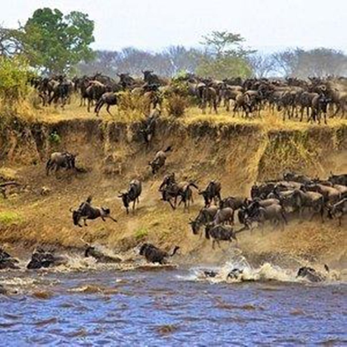 Vacant land for sale in Tuli Block, Botswana - 3BO1729568